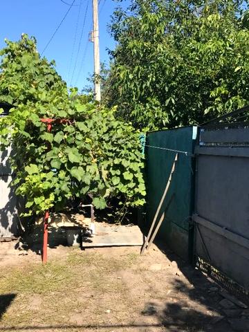 Дом в с. Дубовязовка, Конотопский р-н