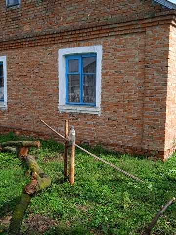 Продам Будинок с.Пітушків
