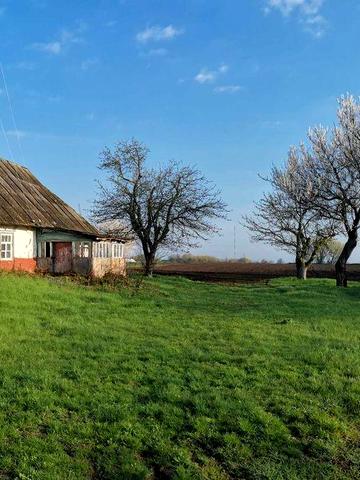 Продам земляний участок зі старим будинком під знесення, 25 соток