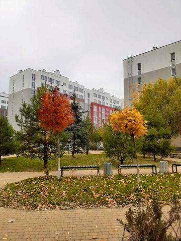 2к квартира в ЖК Столичний Васильків ЖК Столичний