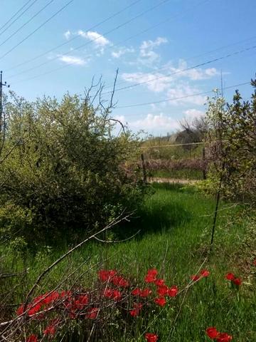 Продам дом в Великодолинске