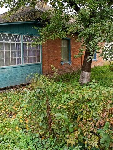 Продам  жилой дом в центре Шишаки