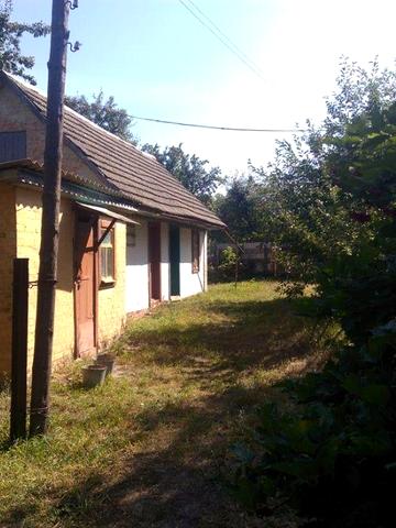 Продам дачу с. Голубівка