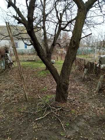 Продам пол дома.