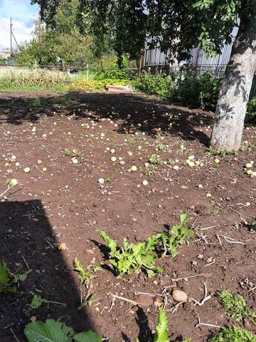 Продам будинок в м.Рожище