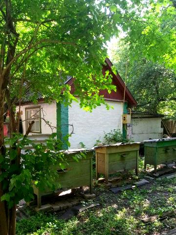 Продам будинок (жилий стан)