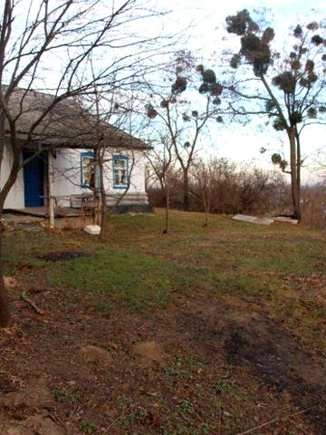 Дача з ділянкою біля заповідника (риболовля, пасіка, природа)