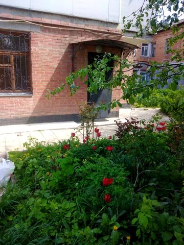 Антона Цедіка вул., 26