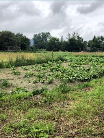 Продам будинок в селі Кошани
