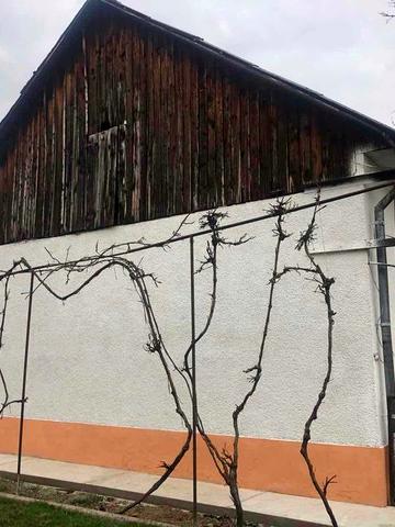 Продається будинок в смт. Буштино