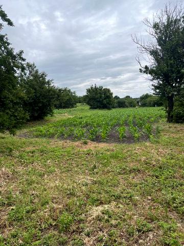 Продам будинок с. Драбівці, 27 соток