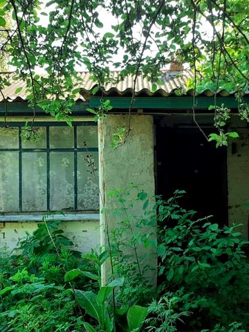 Продам дом Киевская область ,Згуровский район , село Аркадьевка