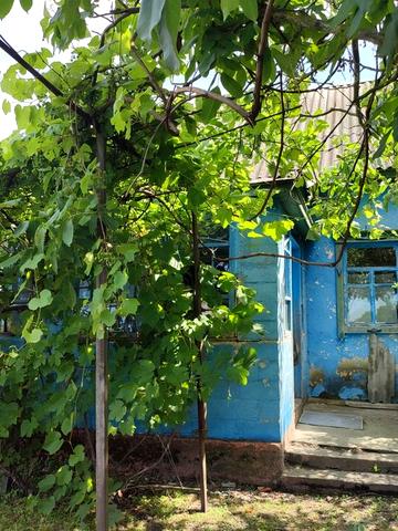 Продам будинок в селі Бзів