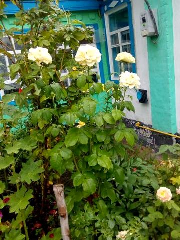 Продається будинок