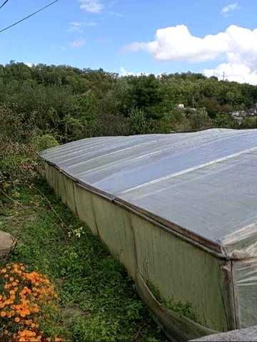 Продам будинок с Бедриківці
