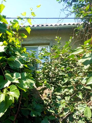 Продам дом с земельным участком в с. Еремеевка, Разделянского р-на