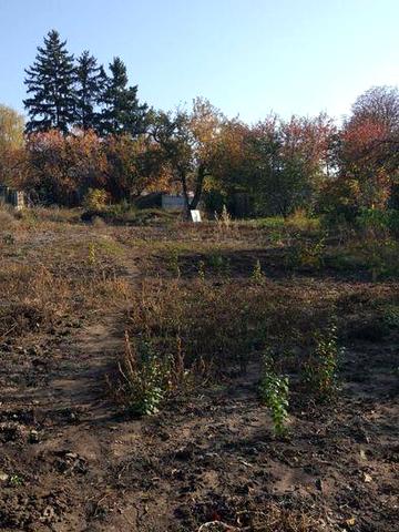 Продам дом в п.Кочеток Чугуевский район