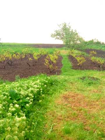 Продам будинок в гарному стані