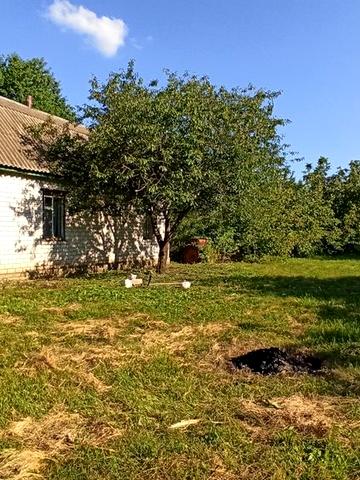 Продам будинок в с. Нова Басань