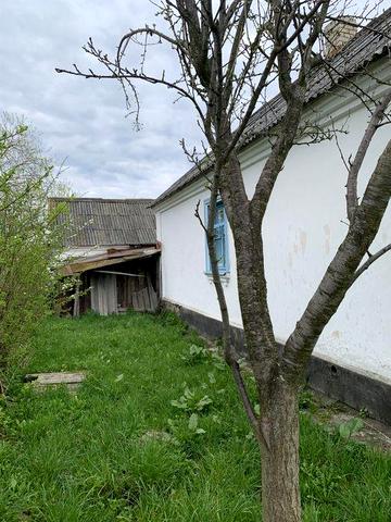 Будинок біля річки