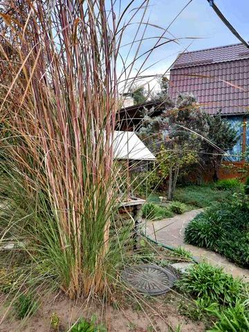 Продам дом-дачу с калиткой в лес