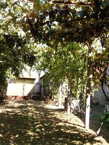 Будинок з великою ділянкою у Берегові, Закарпатська обл.