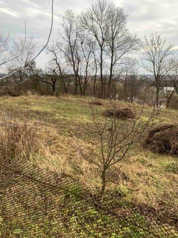 Продам  будинок смт Заложці  вул.шухевича 26