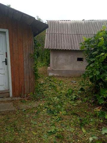 Продається будиночок біля лісу