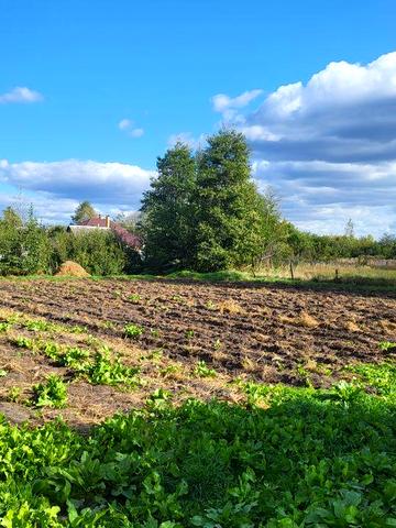 Продам будинок з земельною ділянкою(Клесів)