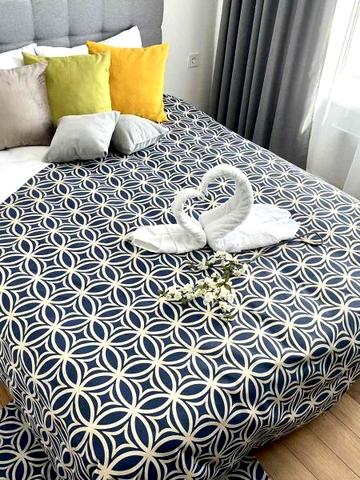 Люкс Апартаменты у метро