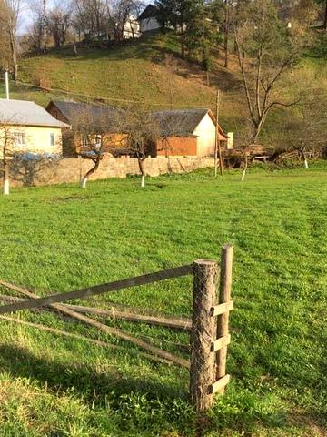 Продається терміново в селі Річка