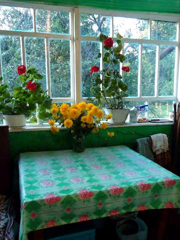 Дом - Дача с Огородом Кирпичный