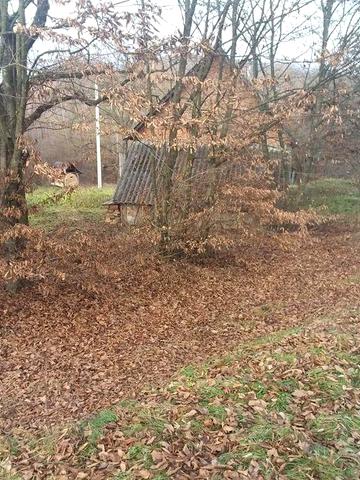 Приватний будинок