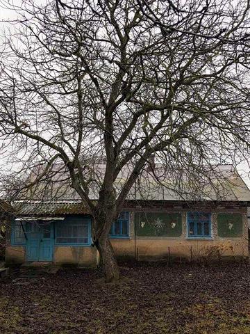 Будинок в Дубенському р-ну