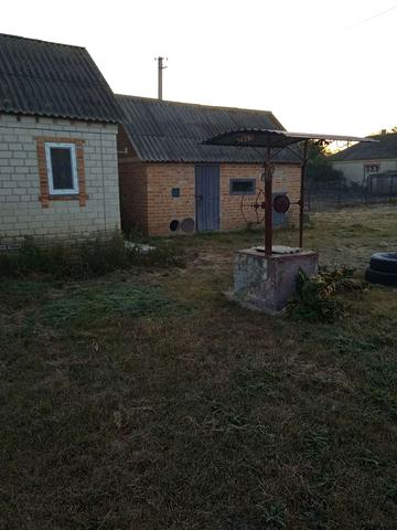 Будинок в Любашівці