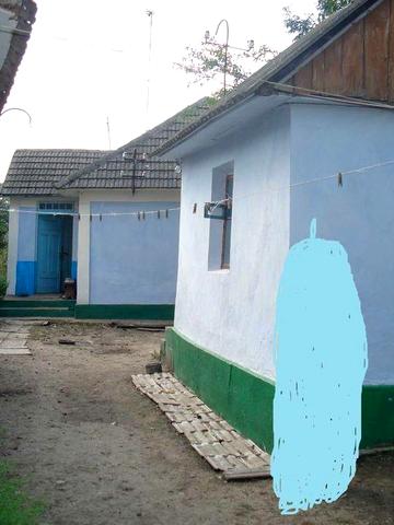 Будинок з господарськими будівлями