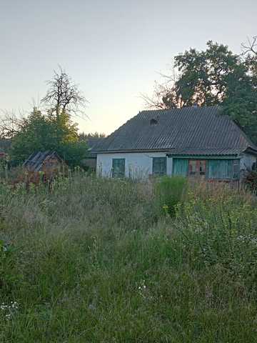 Чехова, 7