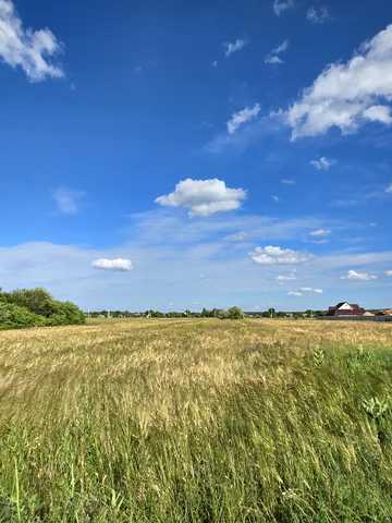 Берегова