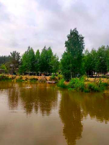 Ясногородка, Вишгородський, Київська область 96000 USD