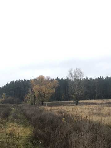 Романківська