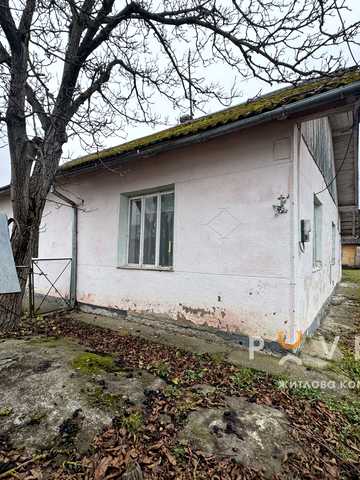 Івасюка