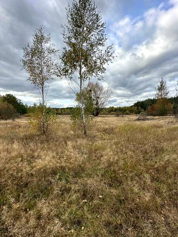 Козинці, Бучанський, Київська область 4500 USD