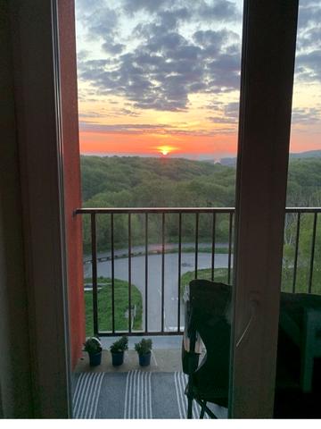 Пасічна вул., 49б