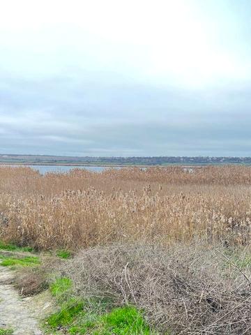 Безіменна вул., 55 А