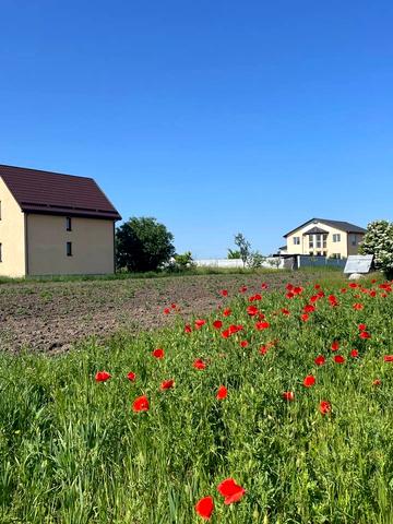 Горіхова вул