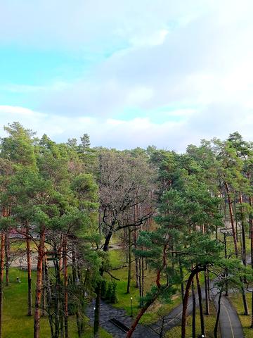 Соборна вул., (Будинок 1)