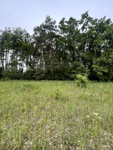 Дмитрівка, Бучанський, Київська область 35000 USD