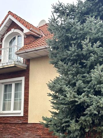 Одноволика, 10