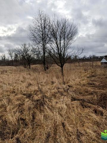 Лисець, Івано-Франківський, Івано-Франківська область 30000 USD