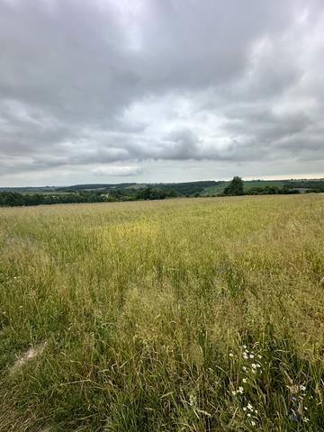 Поршна, Львівський, Львівська область 26040 USD